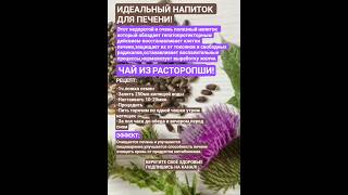 Идеальный напиток для печени!РАСТОРОПША.