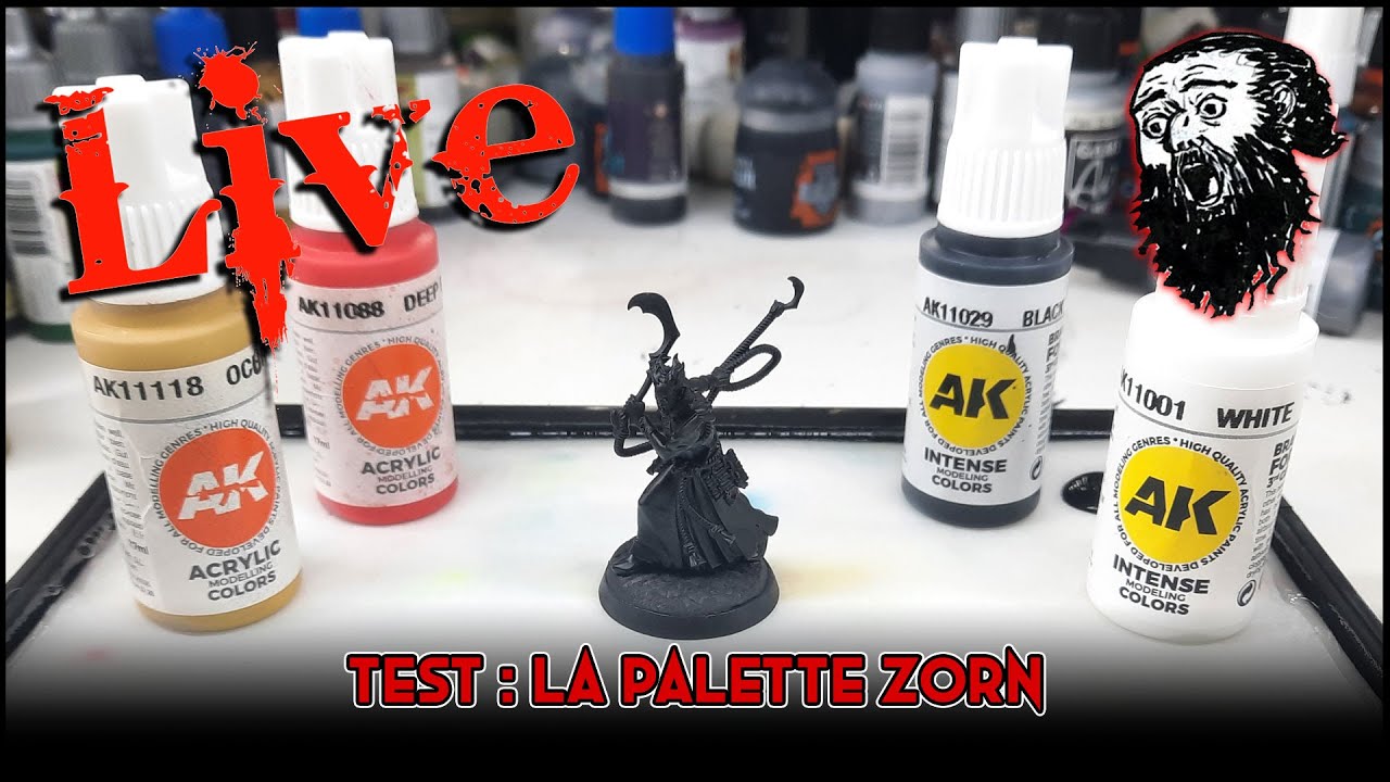 Tester la palette Zorn - 20-11-2023 - YouTube