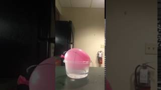 Charles' Law Balloon Experiment Timelapse