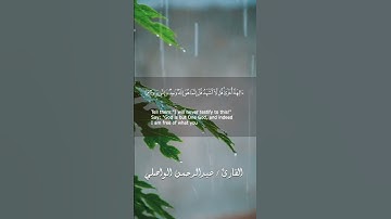 ما تيسر من سورة الأنعام بـ صوت القارئ عبدالرحمن الواصلي#سورة_الأنعام #اكسبلور #عبدالرحمن_الواصلي