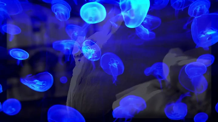 Great Mother of the Waters - Merkabian's Vault - M...