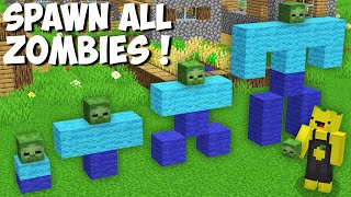 Why did I SPAWN ALL THE RAREST ZOMBIES in Minecraft ! NEW SECRET ZOMBIE !