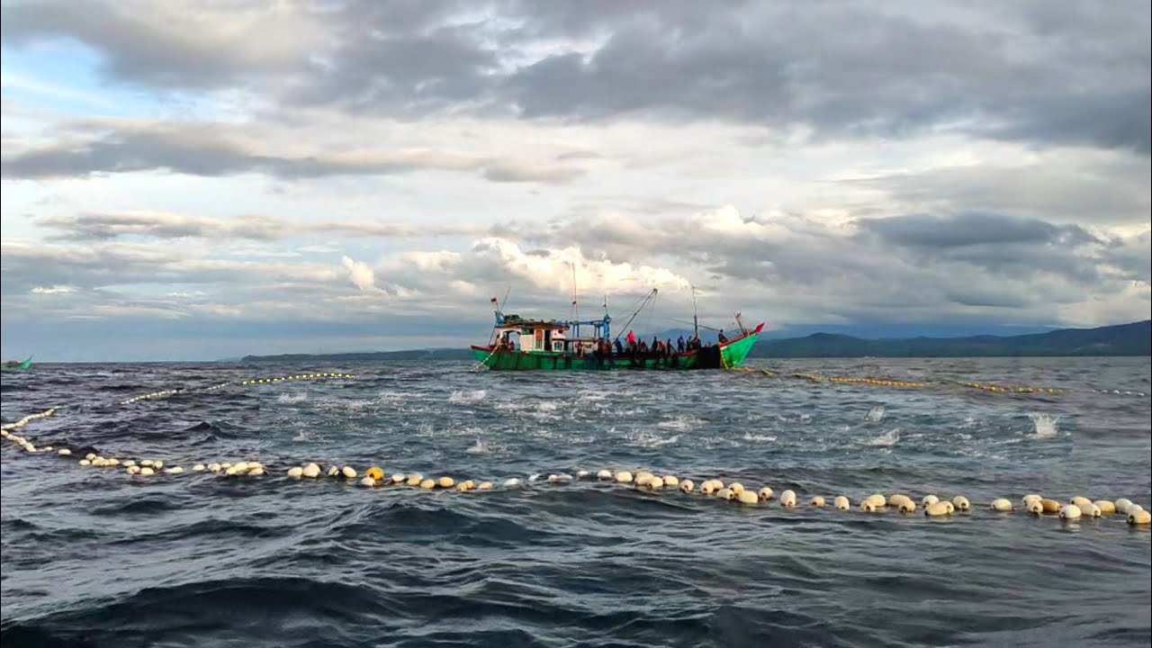 PUKAT CINCIN, Begini Cara Nelayan Aceh Menangkap Ikan Di Siang Hari, Dapat 3 Ton ikan
