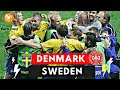 Denmark vs Sweden 2-2 All Goals & Highlights ( UEFA Euro 2004 )