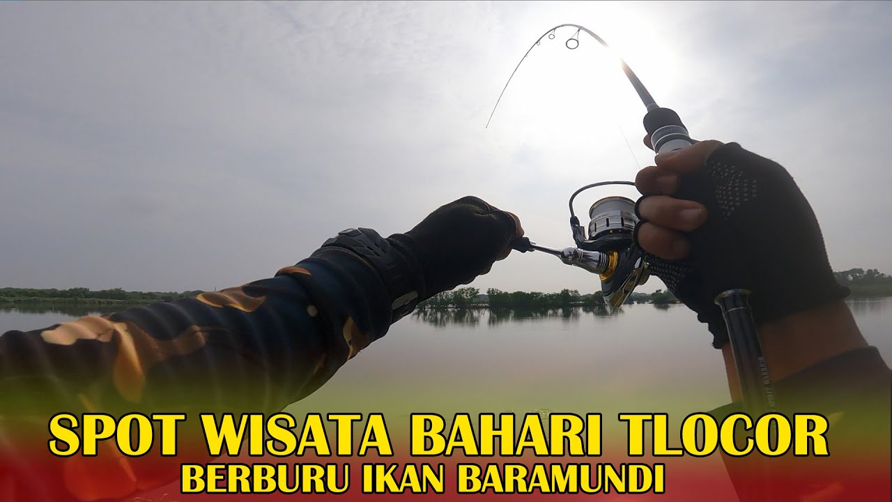 MINNOW UNTUK MANCING BARAMUNDI DI WISATA BAHARI TLOCOR SIDOARJO, IKAN BARAMUNDI AKTIF DI PAGI HARI