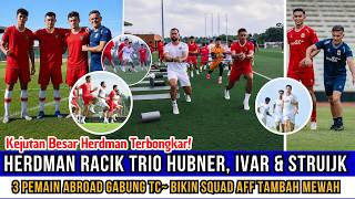 SHOCKING ~ JOHN HERDMAN'S CRAZY PLAN!! Complete AFF National Team Squad Combination ~ Hubner Ivar...