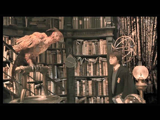 ハリーポッター　不死鳥 Amazon.co.jp: ハリーポッター 【初版】不死鳥の騎士団 洋書