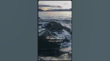 تلاوه خاشعه من سوره يوسف بصوت الشيخ سيد سعيد رحمه الله #قران_كريم #اكسبلور #المصحف
