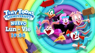 Nuevos Episodios Tiny Toons Looniversidad Septiembre 2024 - Promoción Boing España