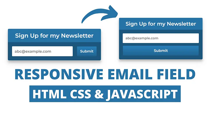Responsive Animated Email Field using HTML CSS & Javascript