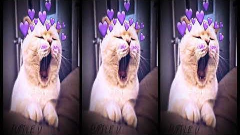 🎵 DRAKE ~ ONE DANCE 🎵 XML Preset Alight Motion