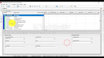 Convert MS Project file to Primavera P6 file