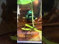 Alien green mời mọi người ngắm
