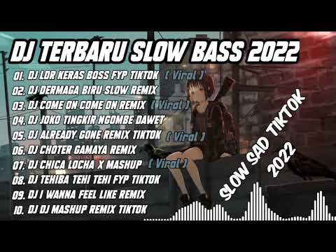 DJ TERBARU SLOW BASS  2022 DJ LDR KERAS BOSS