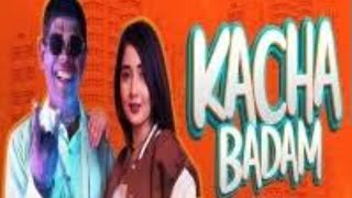 Kacha Badam Dj Song | Kacha Badam Remix Song | Badam badam kacha Badam hit song  | कच्चा बदाम