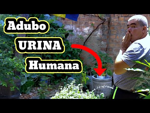 Vídeo: Urina no Jardim - Informações Sobre o Fertilizante Ureia