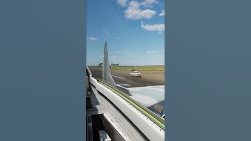 Just DCS Multiplayer Things #dcs #dcsworld