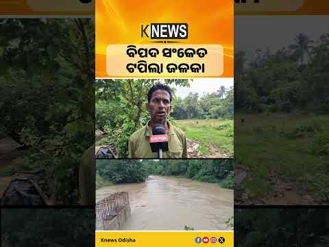 ବିପଦ ସଙ୍କେତ ଅତିକ୍ରମ କରୁଛି ଜଳକା ନଦୀ ଜଳସ୍ତର।ଫଳରେ ବନ୍ୟା ଆଶଙ୍କା ବଢିଛି। Jalka River। Flood Alert