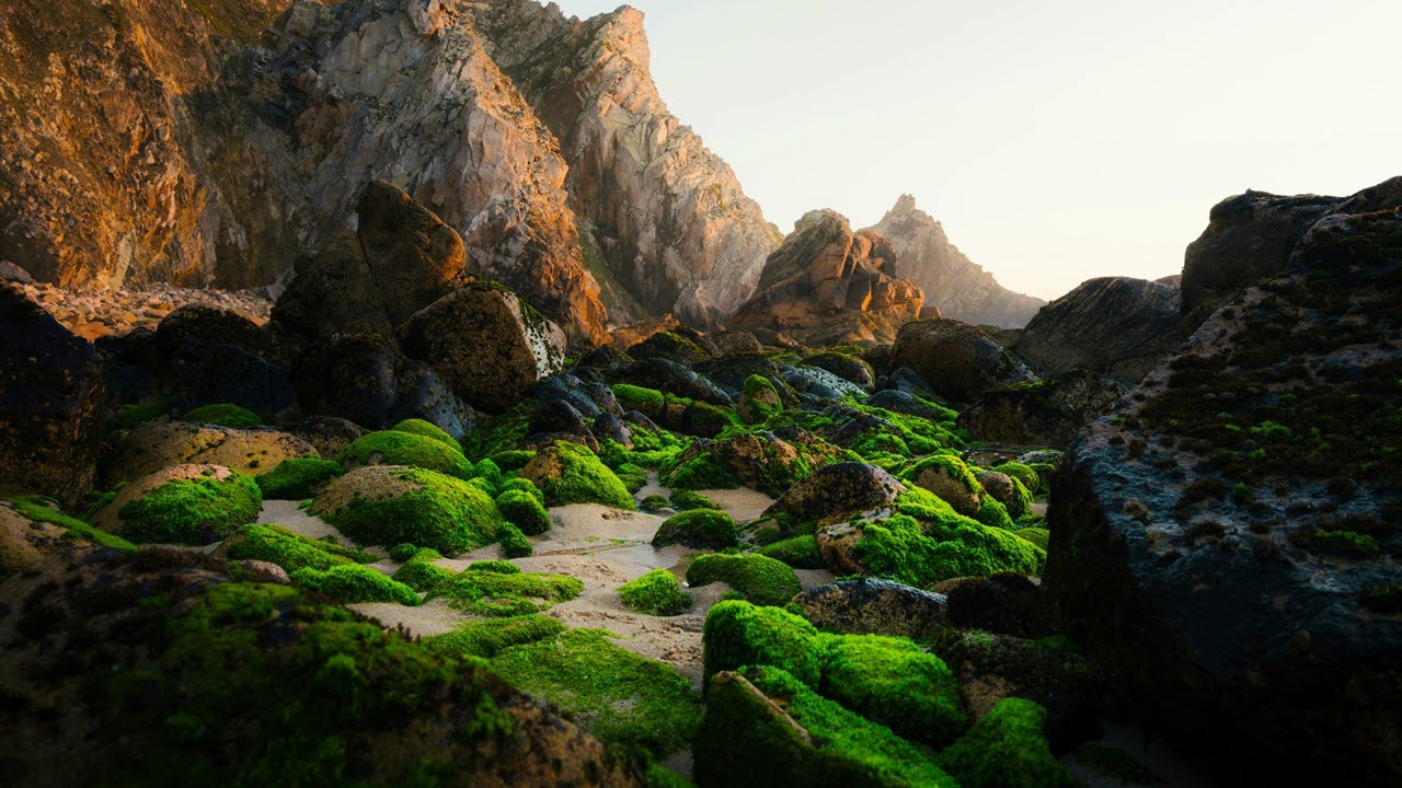 Taevalaotus - Ring (Octal Industries Remix)