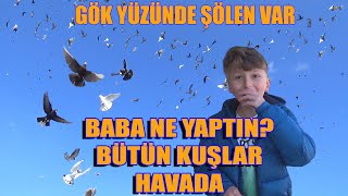Baba Ani̇den Tüm Kuşlari Uçurdu Yüzlerce Kuş Gökyüzünde Hundreds Of Pigeons