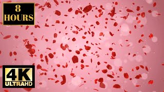 Romantic Love Valentines Pink Wallpaper Screensaver Background 4K 8 HOURS screenshot 1