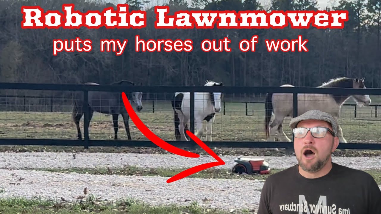 Роботизированная газонокосилка: Segway Navimow! Наконец-то машина с искусственным интеллектом, ко...