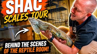 Shac Scales Full Tour - Free Roaming Iguana, Blood Pythons, Corn Snakes, Tiger Rat Snakes & More ! Blood Python Care Guide With Shac Scales
