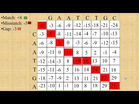 Global Sequence Alignment Simplified | Needleman–Wunsch Algorithm (Traceback Explained)