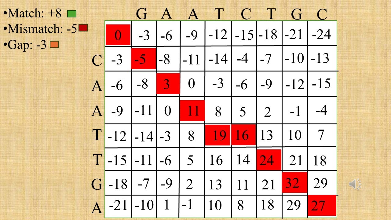 Global Sequence Alignment Simplified | Needleman–Wunsch Algorithm ...