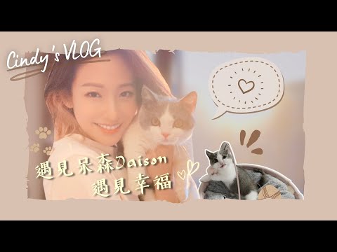 【Cindy's VLOG #13】歡迎回家, 阿呆 Welcome home, Daison! | Cindy袁詠琳