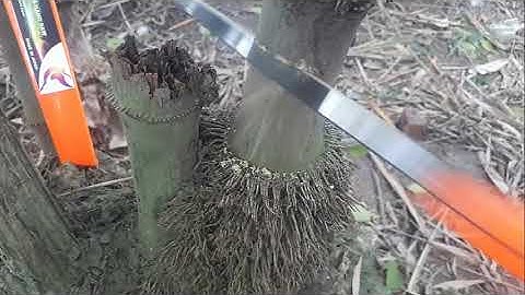 Cưa gỗ cầm tay nhật bản kataboy bonsai, tự hào sản xuất ở nhật made in japan chính hãng katana group