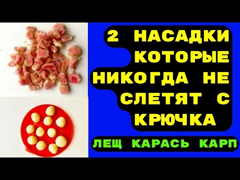 видео: Две насадки для рыбалки, которые ловят только КРУПНЯК даже зимой, КАРАСЬ, КАРП, ЛЕЩ.