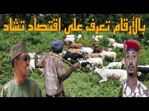 المحلل الاقتصادي بالأرقام تعرف على اقتصاد تشاد والصعوبات التي تواجه الشعب التشادي