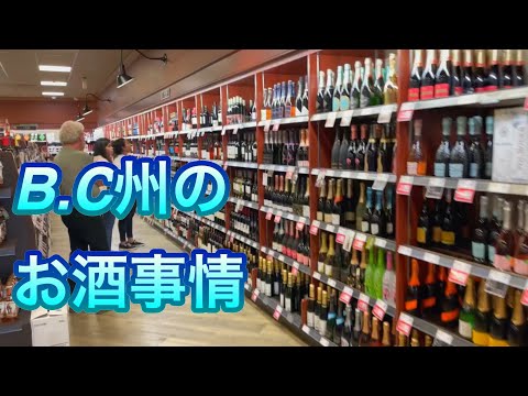 【vlog】BC州で初めてお酒を買いに行く動画