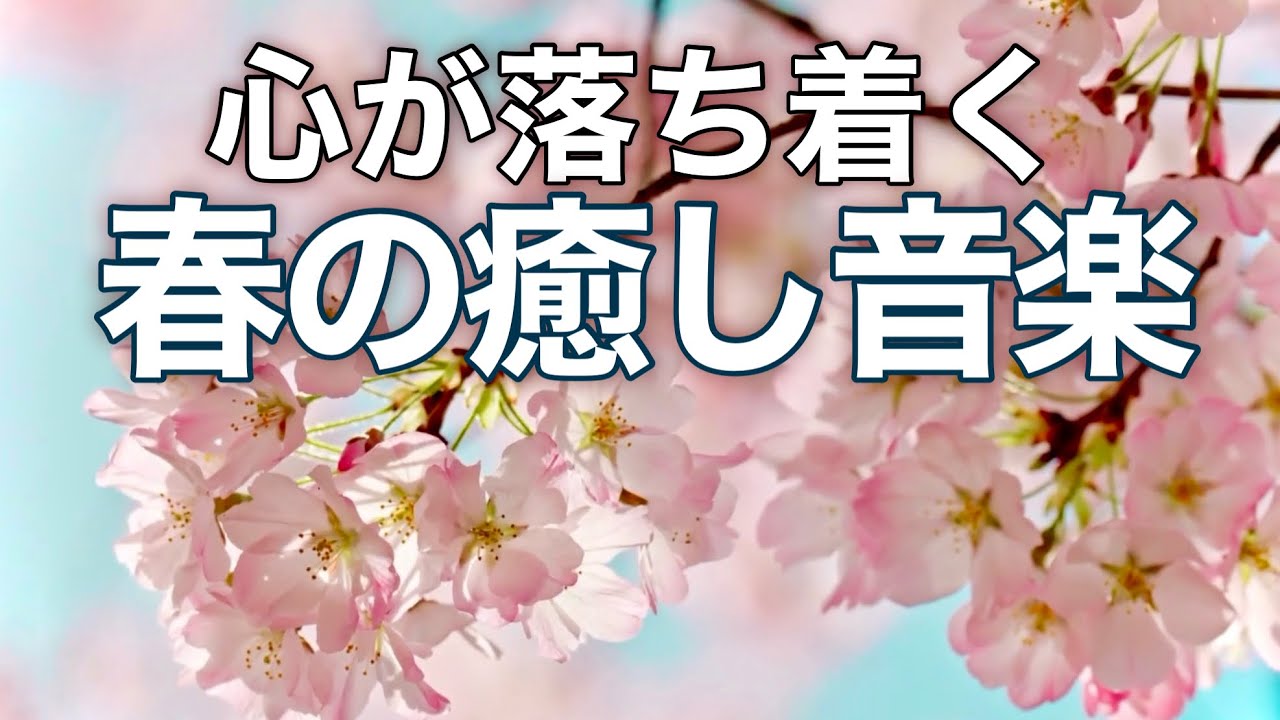 【春の癒しBGM】春を感じて心が落ち着く優しいリラックス音楽、自律神経を整え不安やストレス解消のためのヒーリングミュージック/睡眠用・作業用・勉強用BGM