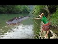 Primitive Life - Smart Boy Create A Bow Catch Big Fish - Survival Skills Find Fish At River