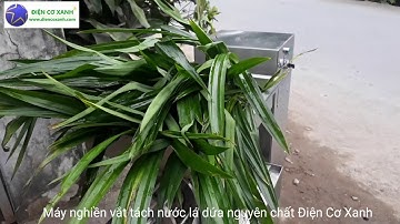 Máy vắt lá dứa chất lượng cao, ĐIỆN CƠ XANH
