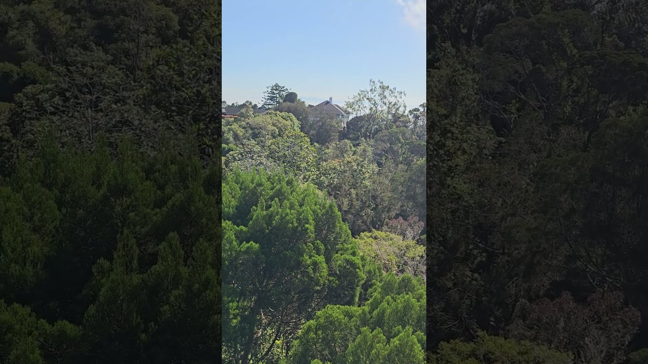 MY2512 Penang Hill Penang exploring day 3 George Town Pulau Pinang Malaysia 02