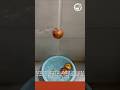 수압과 유체역학을 활용한 사과 수직 체공 제어 방법 #worker #process #physics #waterpressure #experiment