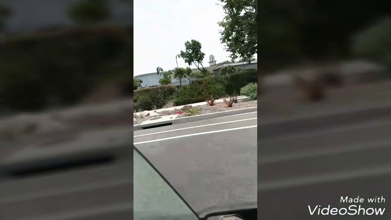 camera iphone 8 plus apk VISTA TRAPPIN (trap4life)