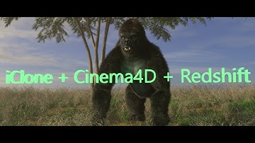 iC7 to C4D: "iClone Gorilla with C4D Fur" (Redshift Render, 4K, HDR)