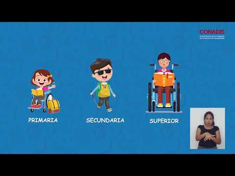 Video: Educación Inclusiva De Niños Con Discapacidad