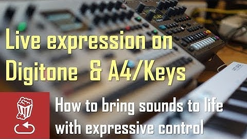 Live expression on DIGITONE and ANALOG FOUR/KEYS: How to bring sounds to life