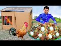 Chicken cardboard trap murgi chor chicken biryani thief hindi kahaniya moral stories comedy