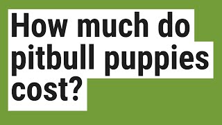 How much do pitbull puppies cost? How Much Do Pitbulls Cost
