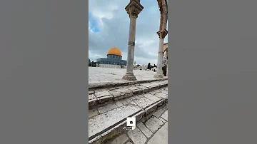 قلبي في هواك يهيم من رحاب أقصانا اليوم 