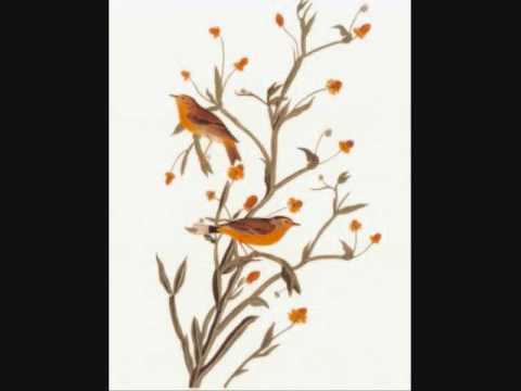 O would I were but that sweet linnet! arrangement by Beethoven