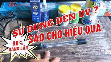 Sử Dụng Đèn UV Sao Cho Hiệu Quả | 90% Đang Lầm | Hoàng Lam Arowana