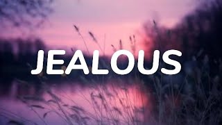 Jealous(nick jonas) - Andie Case cover(Lyrics)