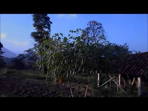 Falling Down Nasheed By Nadeem Mohammed English Nasheeds Without Music